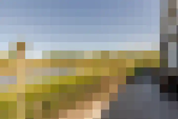 Leyseput 20 Rockanje thumbnail 39