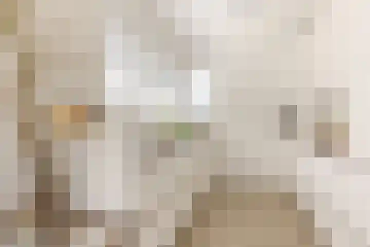 Leyseput 20 Rockanje thumbnail 4
