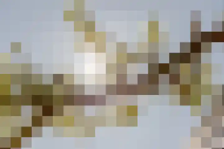 Leyseput 20 Rockanje thumbnail 41