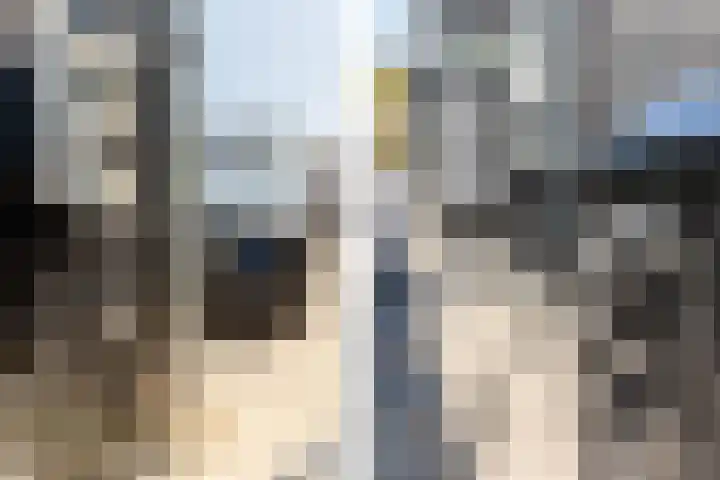 Leyseput 20 Rockanje thumbnail 43