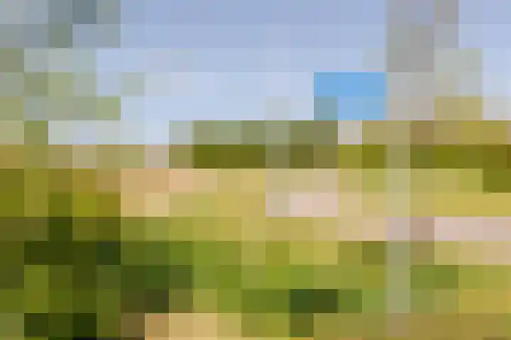 Leyseput 20 Rockanje thumbnail 46