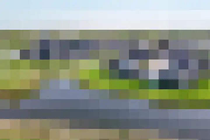 Leyseput 20 Rockanje thumbnail 49