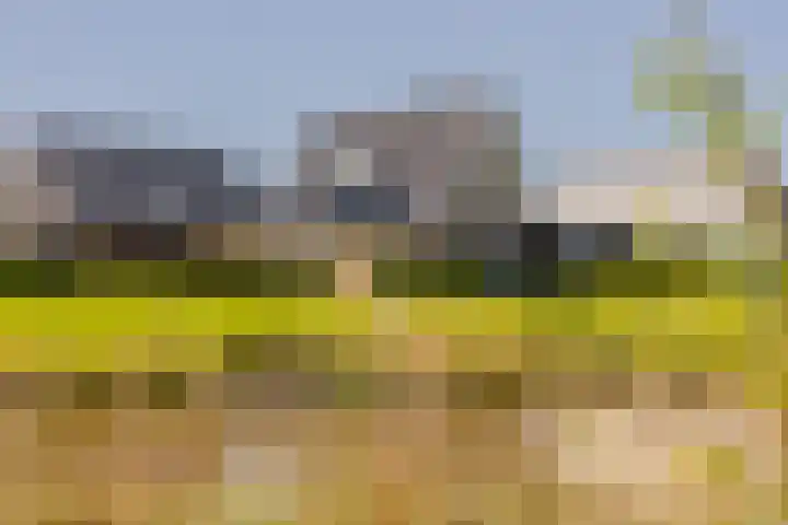 Leyseput 20 Rockanje thumbnail 5