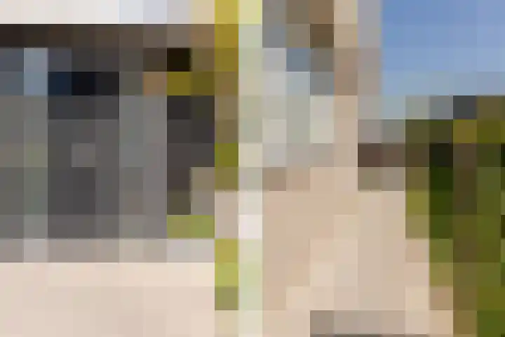 Leyseput 20 Rockanje thumbnail 7