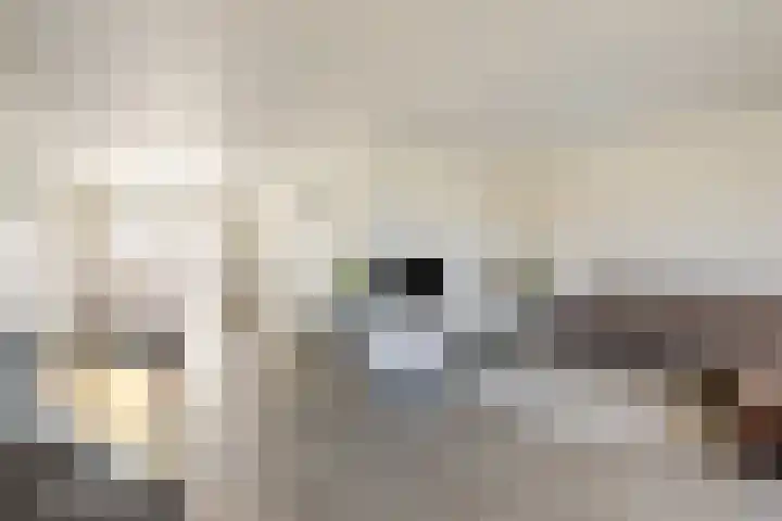 Leyseput 20 Rockanje thumbnail 9