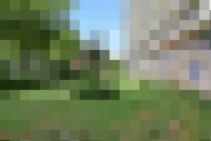 Leyweg 100 Den Haag thumbnail 44