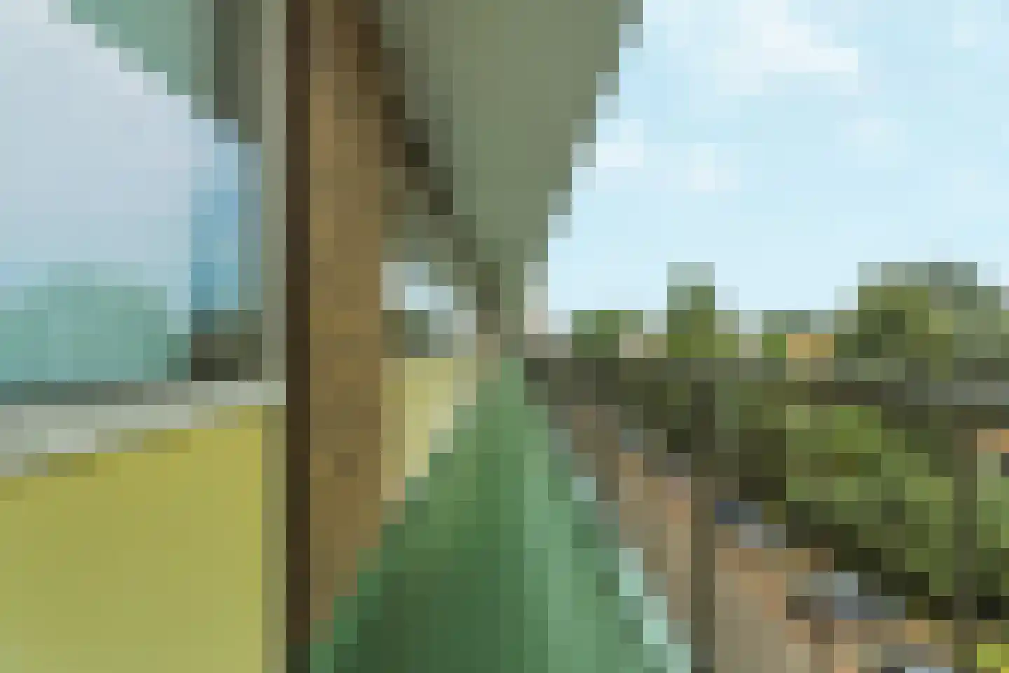 Leyweg 106 A Den Haag thumbnail 8