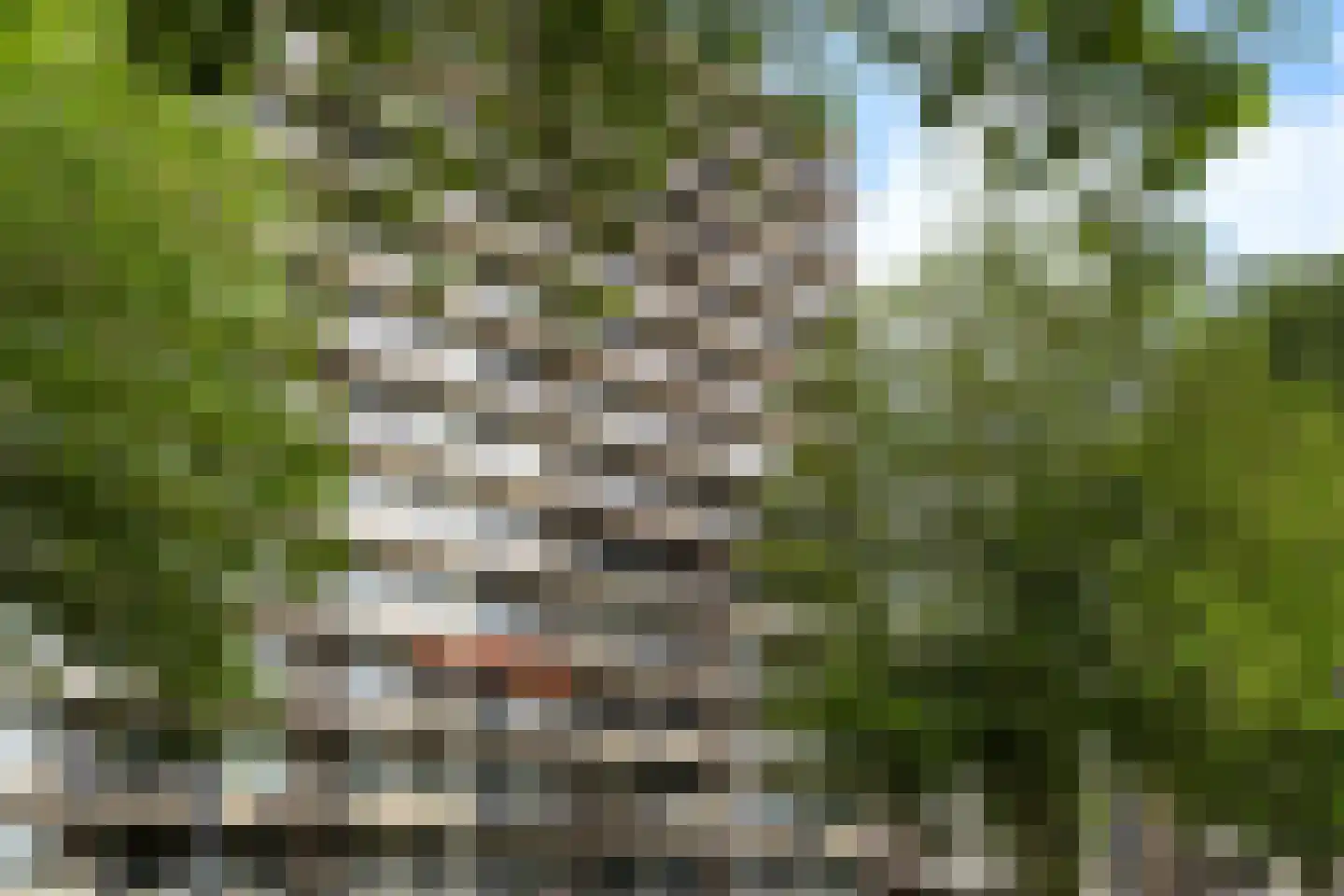 Leyweg 118 Den Haag thumbnail 6