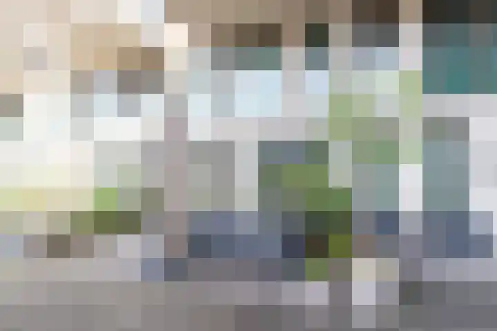 Leyweg 1199 in Den Haag