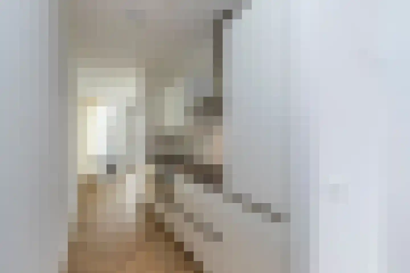 Leyweg 1233 Den Haag thumbnail 7