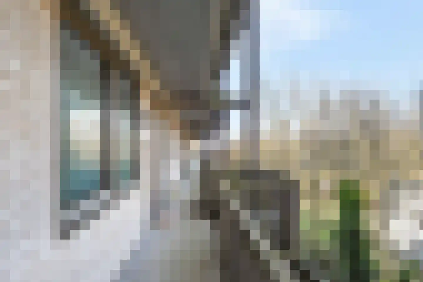 Leyweg 1251 Den Haag thumbnail 5