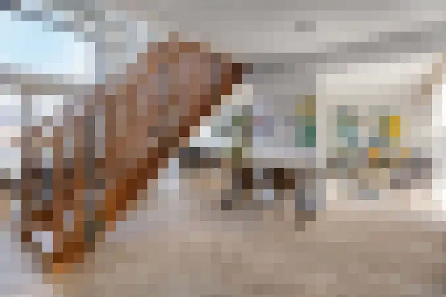 Leyweg 1259 Den Haag thumbnail 23