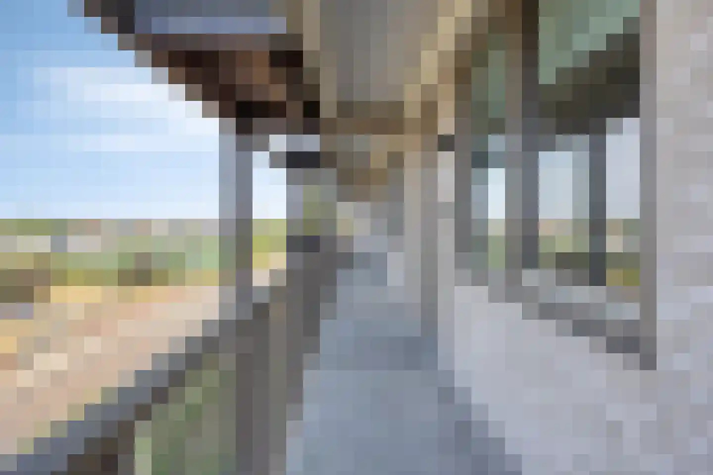 Leyweg 1259 Den Haag thumbnail 6