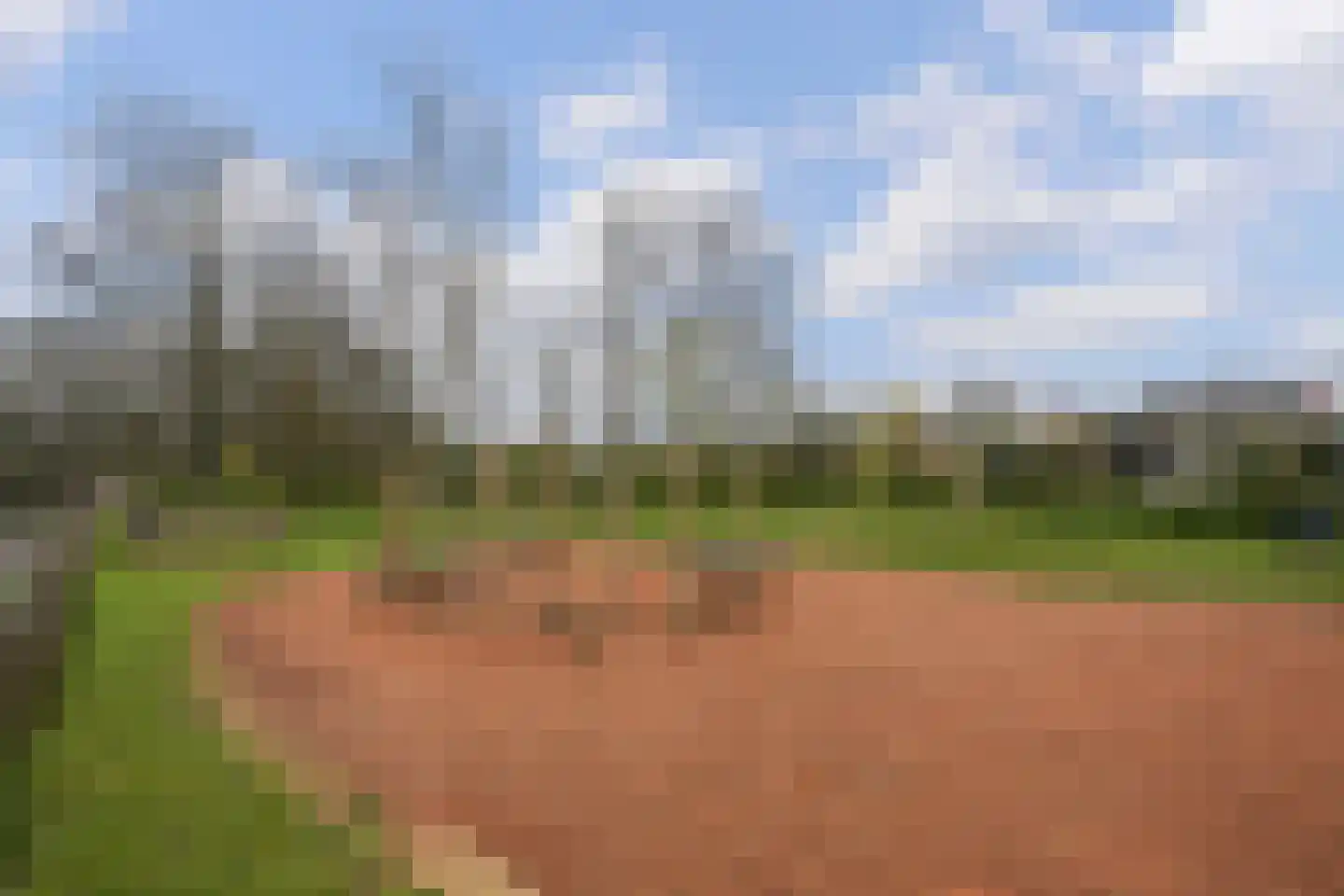 Leyweg 1271 Den Haag thumbnail 66