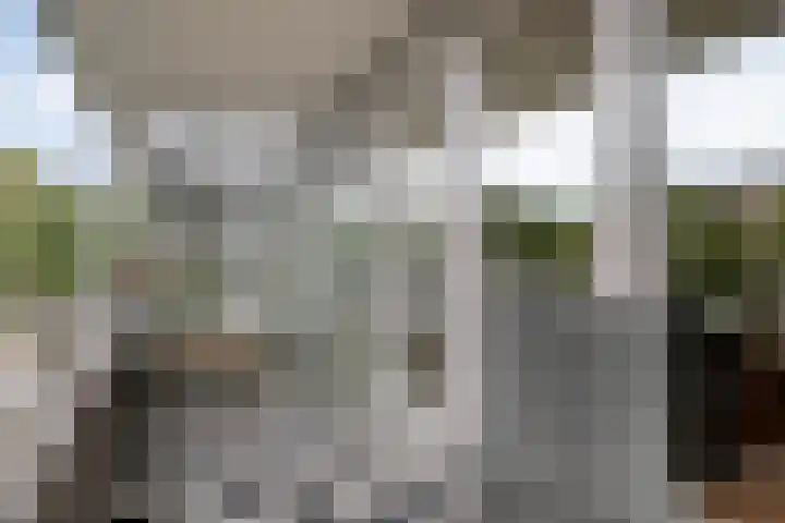 Leyweg 1298 C Den Haag thumbnail 17