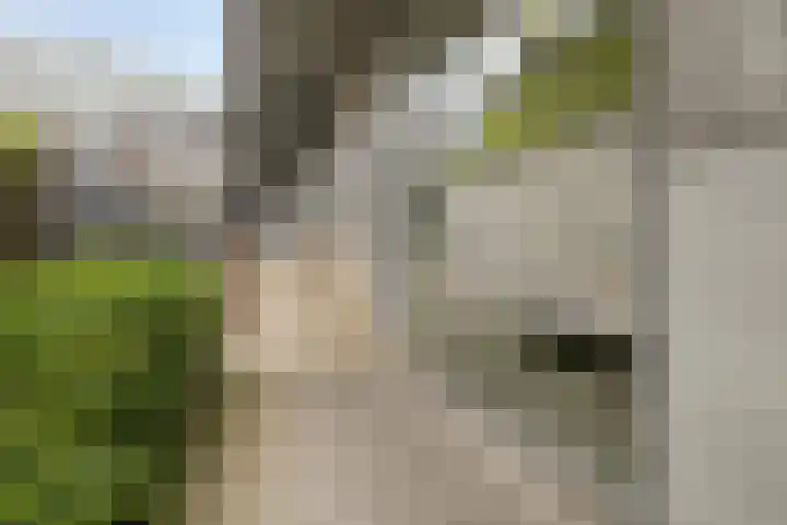 Leyweg 1298 C Den Haag thumbnail 5