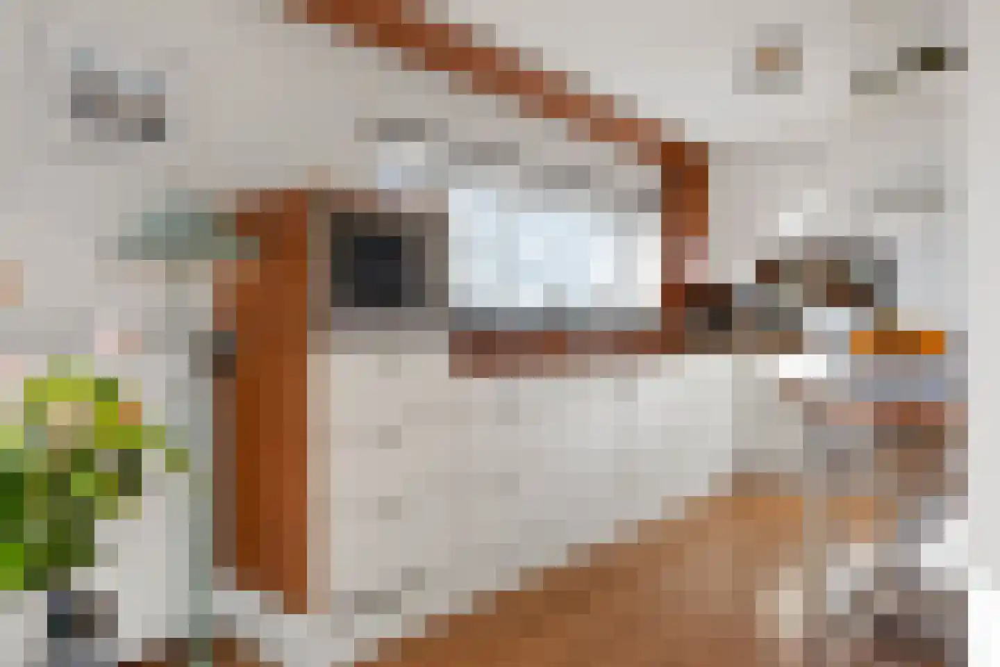 Leyweg 1298 F Den Haag thumbnail 13