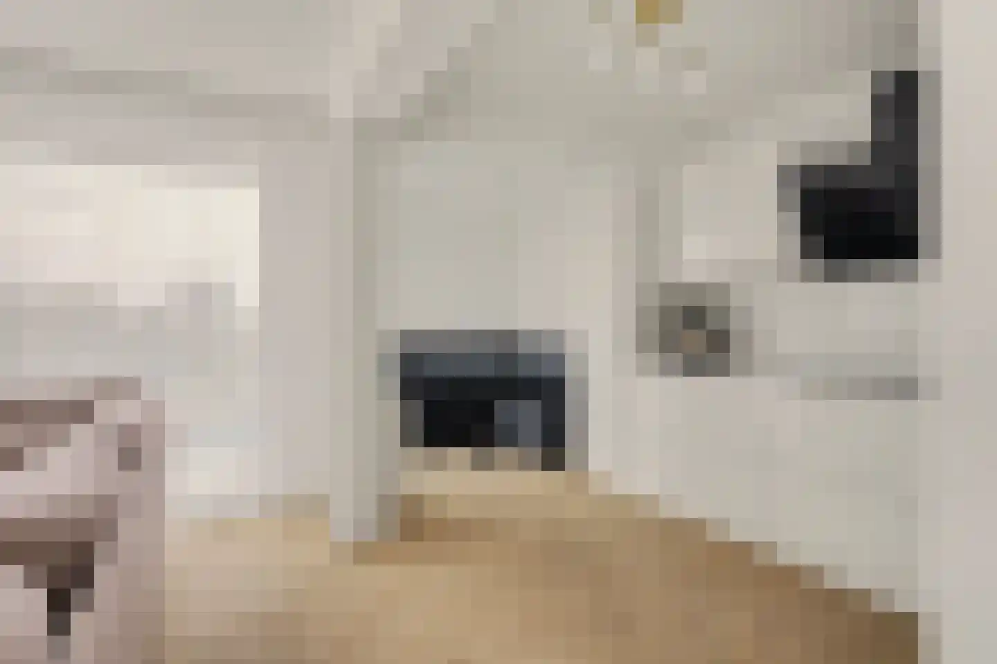 Leyweg 1300 D Den Haag thumbnail 17