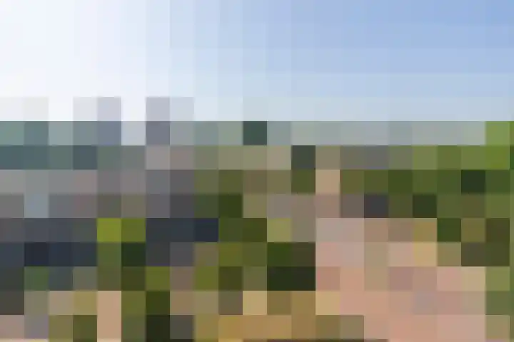Leyweg 1300 F Den Haag thumbnail 13