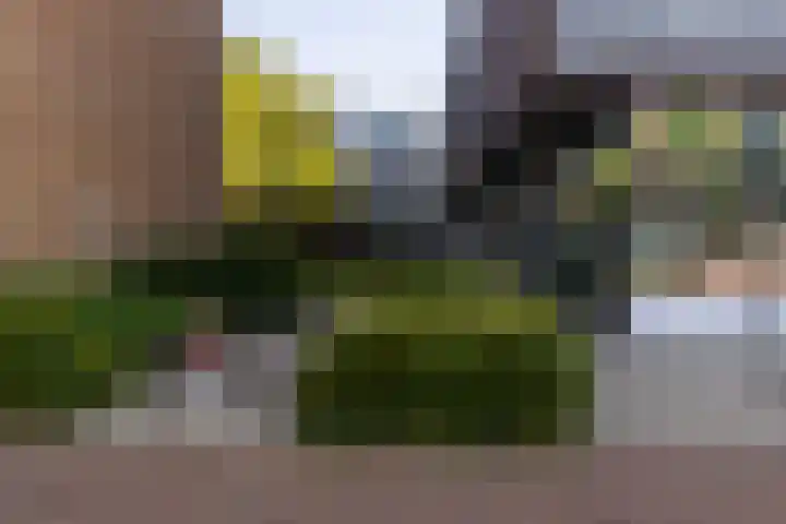 Leyweg 1300 F Den Haag thumbnail 23