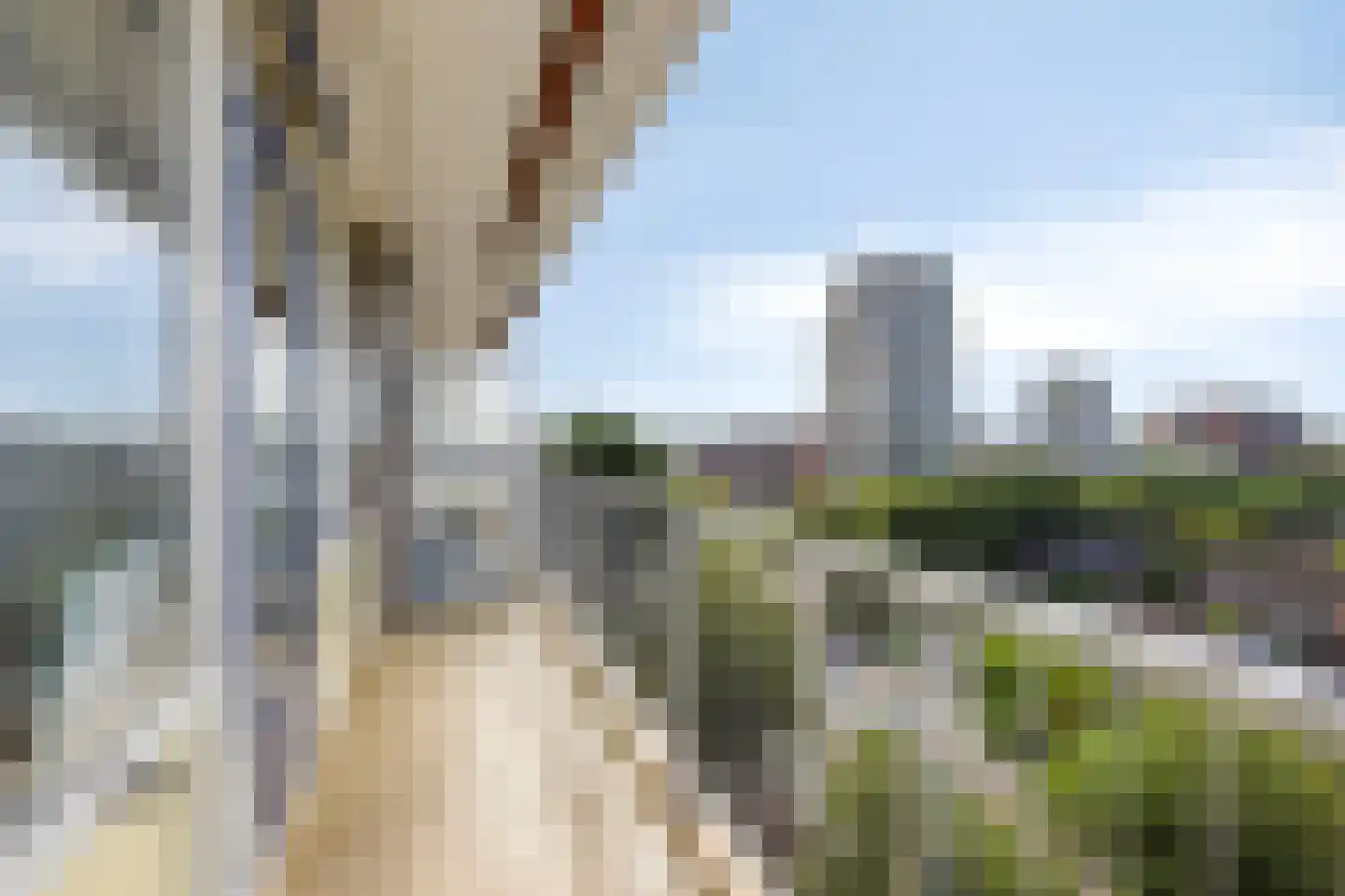 Leyweg 138 Den Haag thumbnail 17