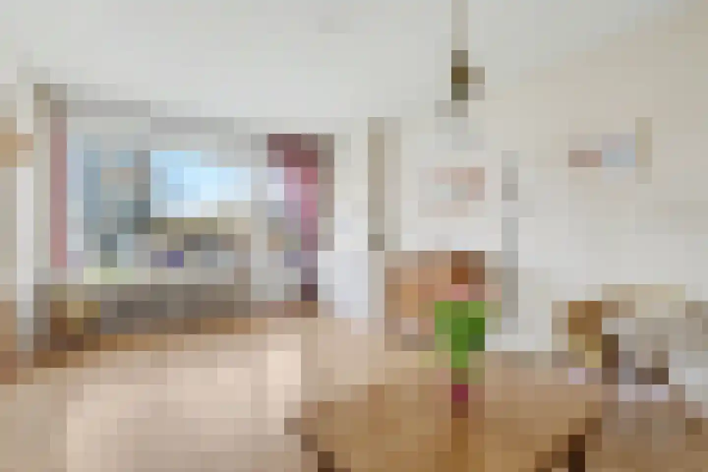 Leyweg 210 Den Haag thumbnail 6