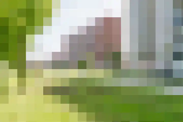 Leyweg 214 Den Haag thumbnail 20