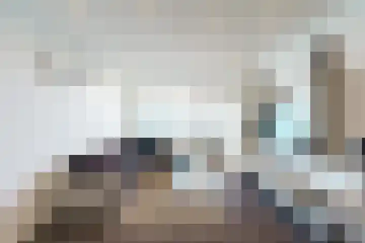 Leyweg 214 Den Haag thumbnail 7