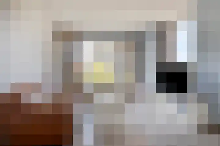 Leyweg 230 Den Haag thumbnail 10