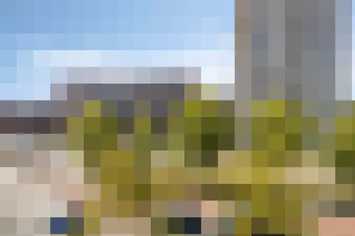 Leyweg 230 Den Haag thumbnail 12