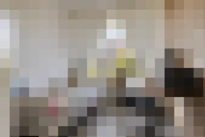Leyweg 230 Den Haag thumbnail 14