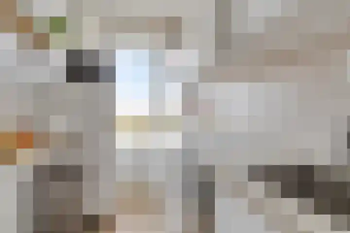 Leyweg 230 Den Haag thumbnail 20