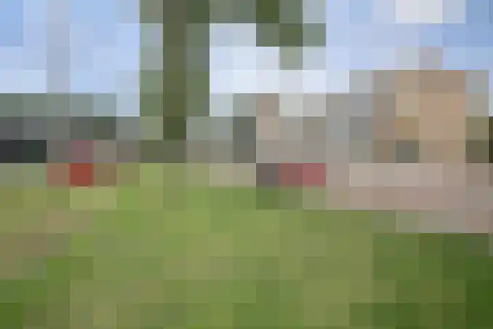 Leyweg 230 Den Haag thumbnail 32