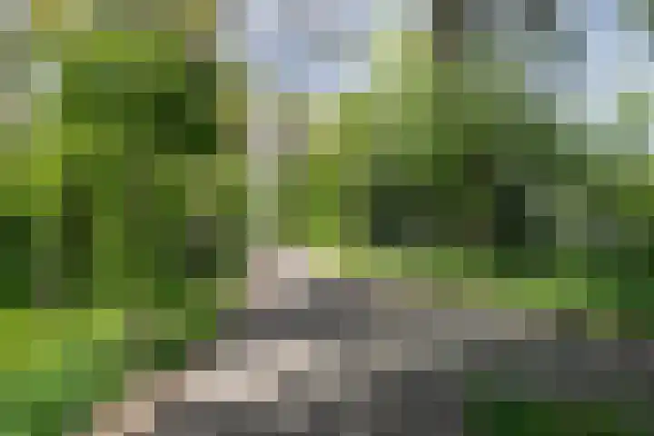 Leyweg 230 Den Haag thumbnail 35