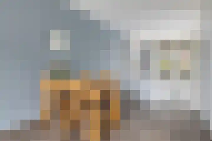 Leyweg 230 Den Haag thumbnail 7