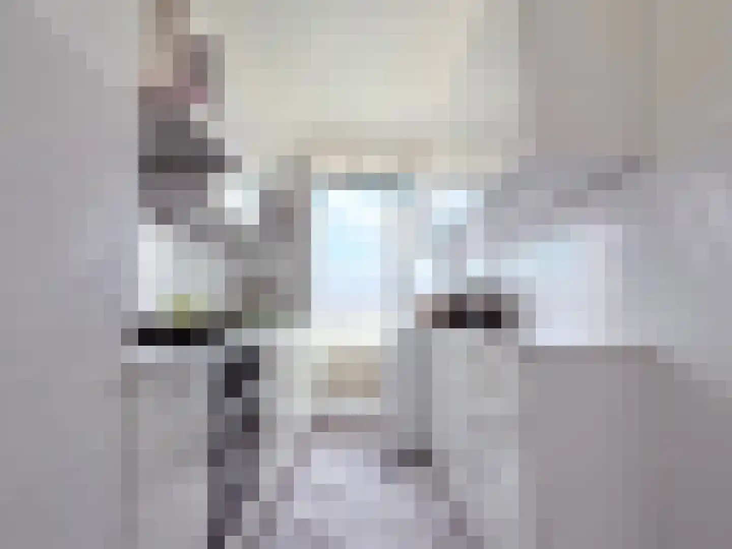 Leyweg 246 Den Haag thumbnail 15