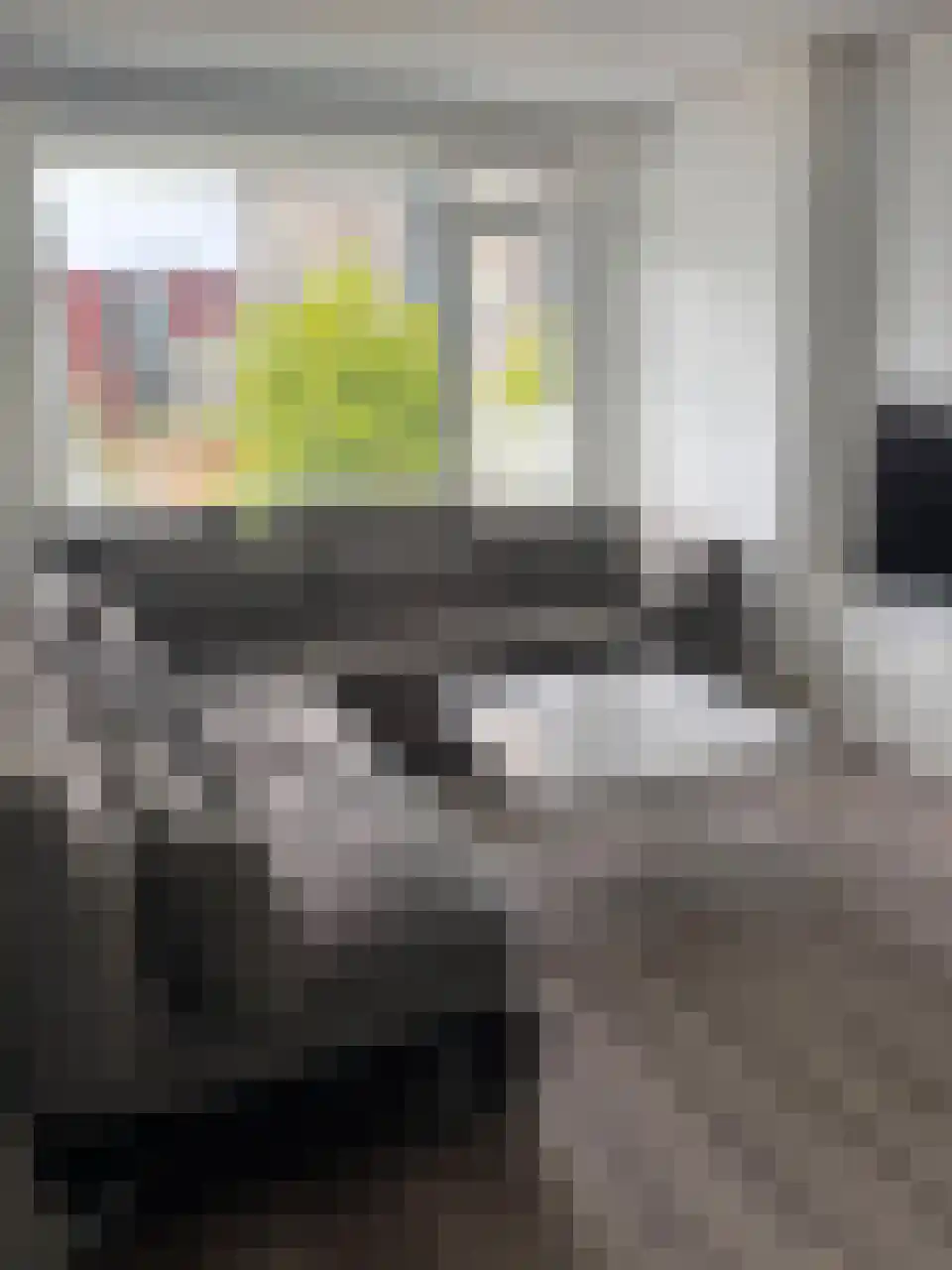 Leyweg 246 Den Haag thumbnail 4