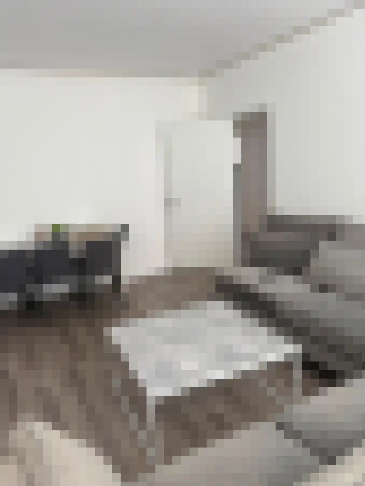 Leyweg 246 Den Haag thumbnail 6