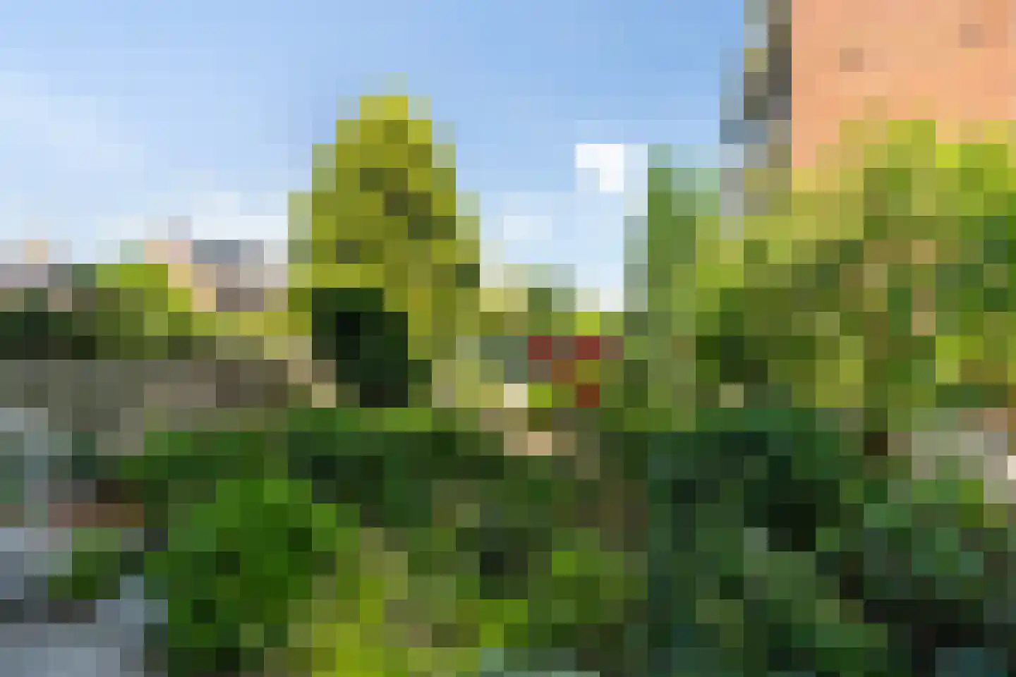 Leyweg 248 Den Haag thumbnail 21