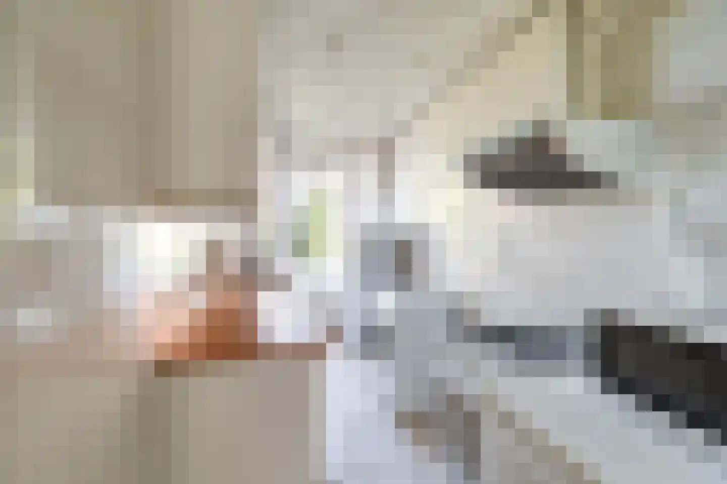 Leyweg 248 Den Haag thumbnail 6