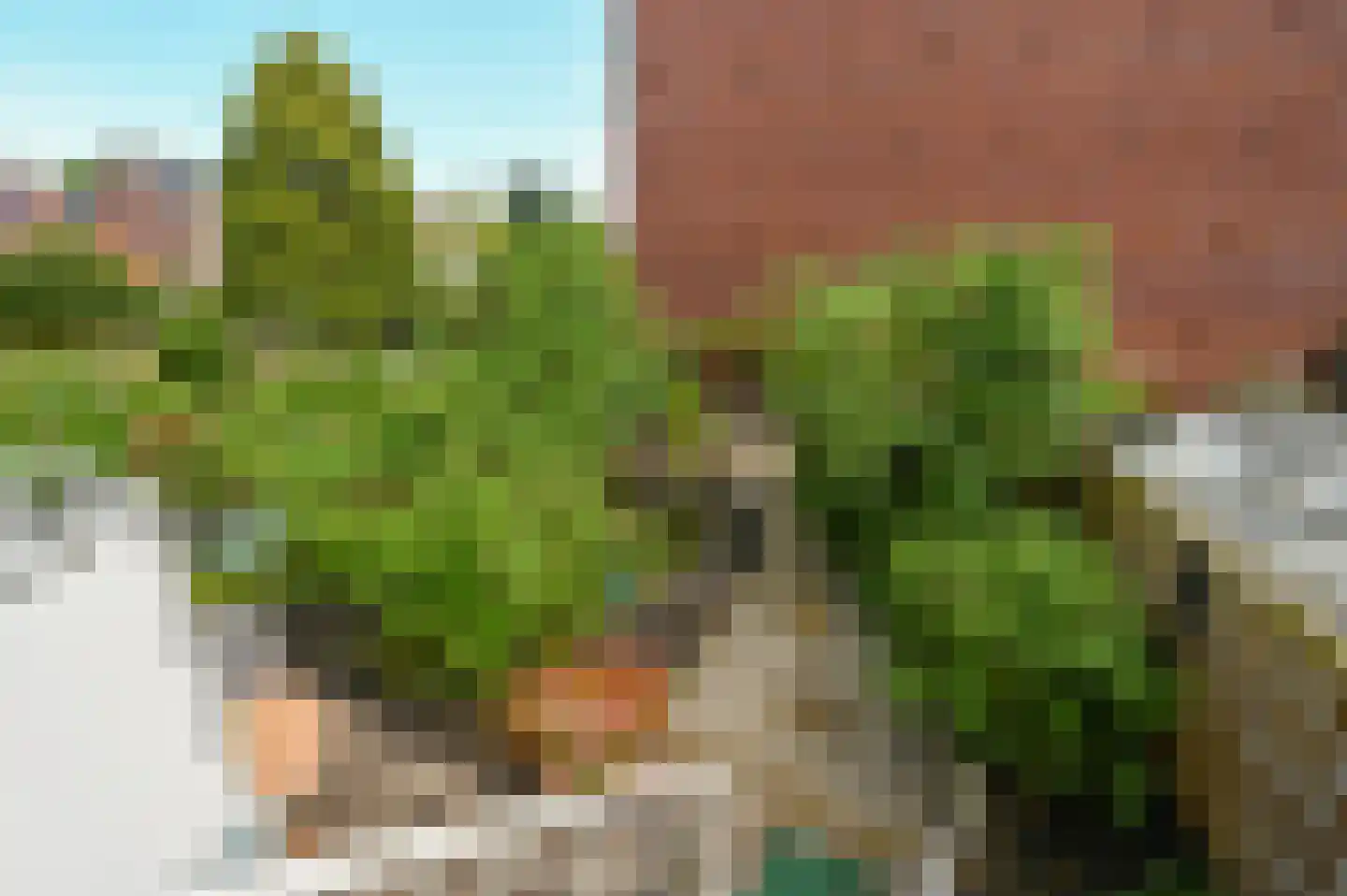 Leyweg 256 Den Haag thumbnail 19