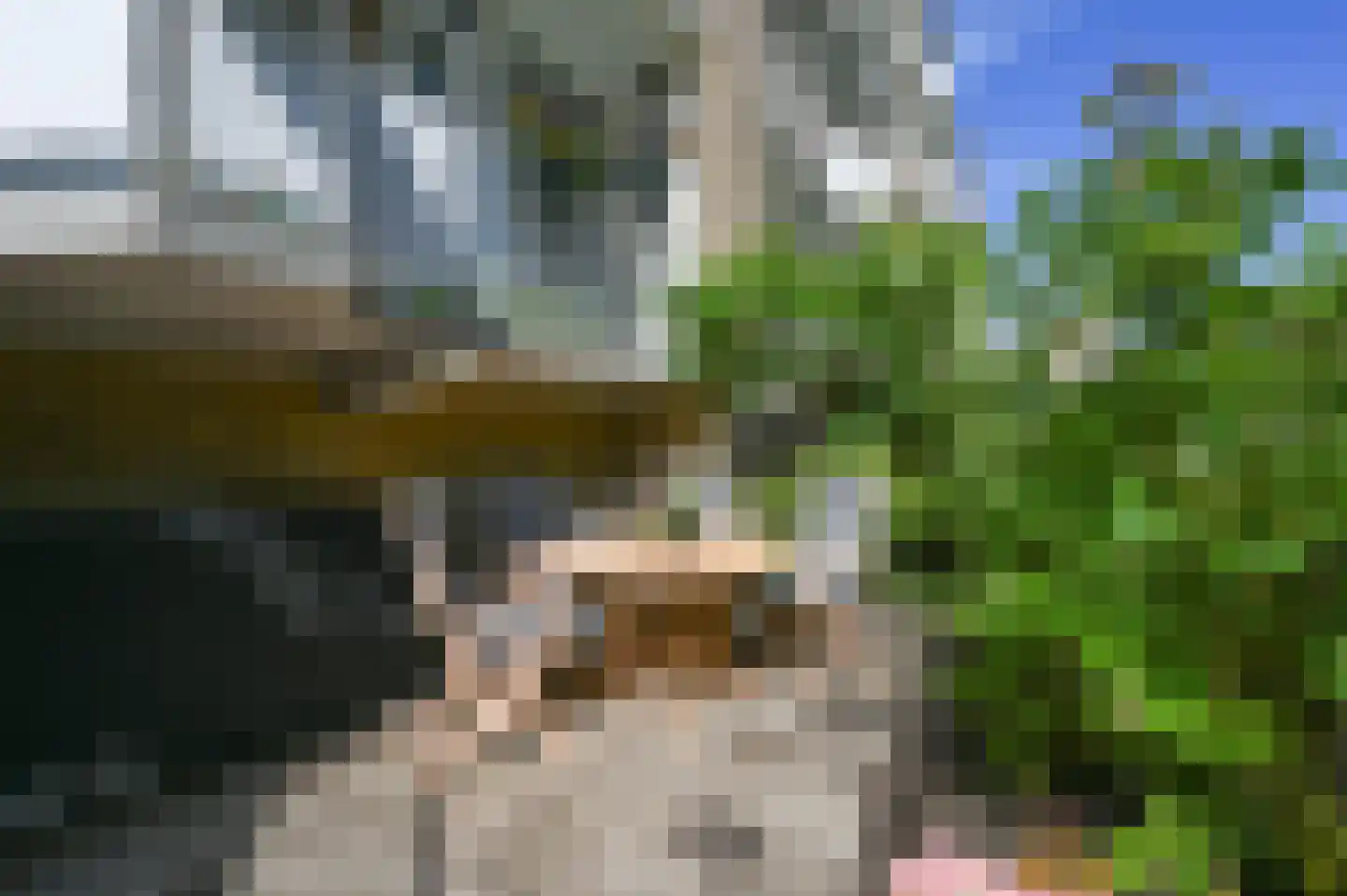 Leyweg 256 Den Haag thumbnail 25