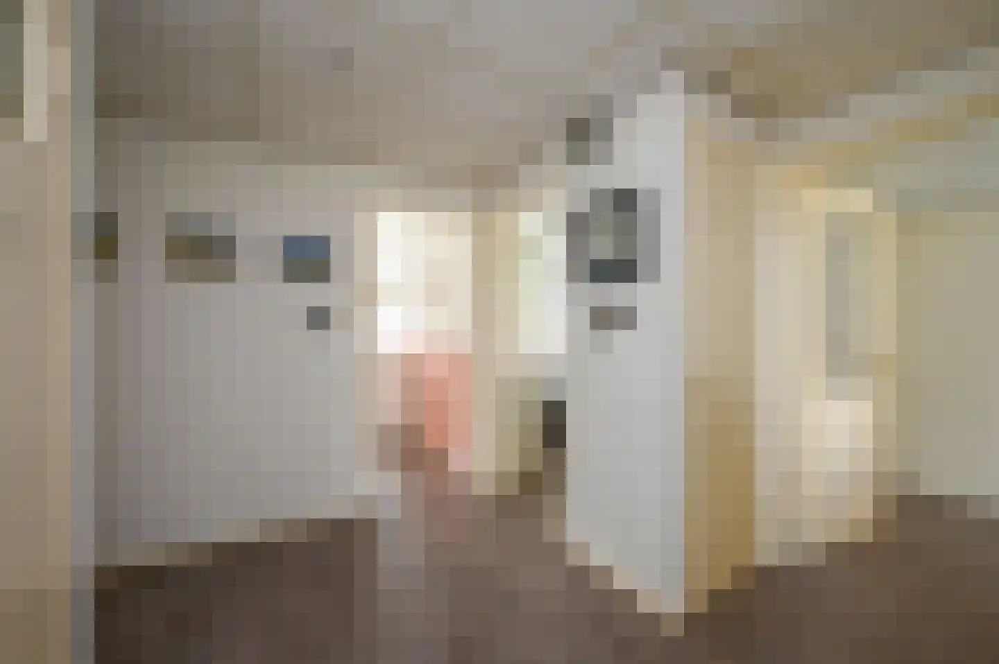 Leyweg 256 Den Haag thumbnail 31