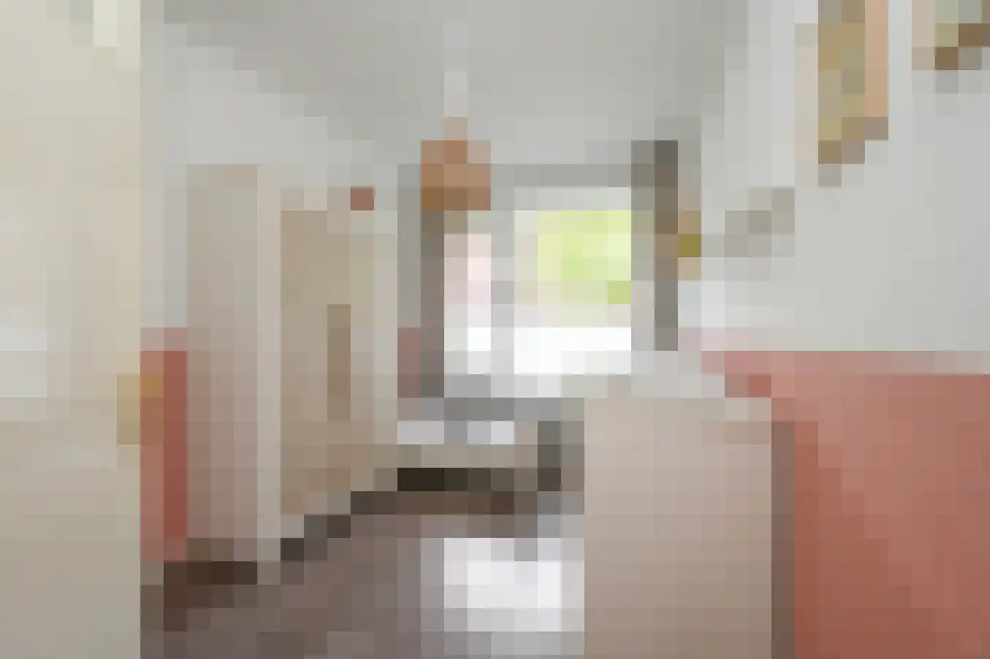 Leyweg 256 Den Haag thumbnail 32
