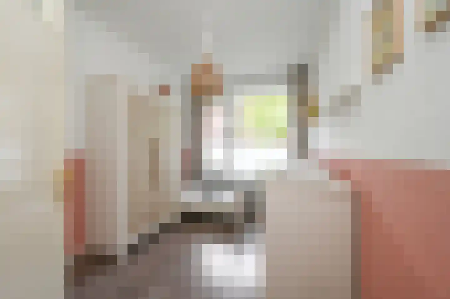 Leyweg 256 Den Haag thumbnail 32