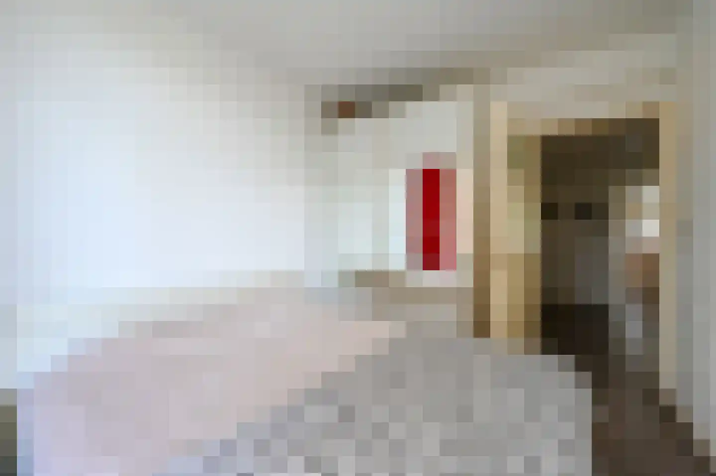 Leyweg 256 Den Haag thumbnail 41