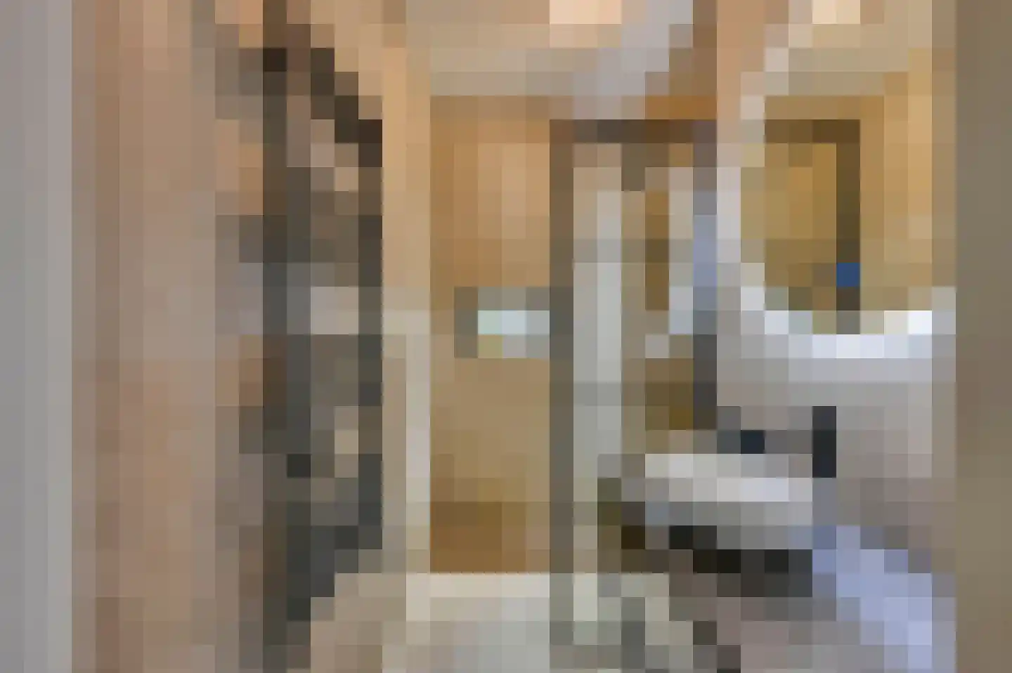 Leyweg 26 B Den Haag thumbnail 18