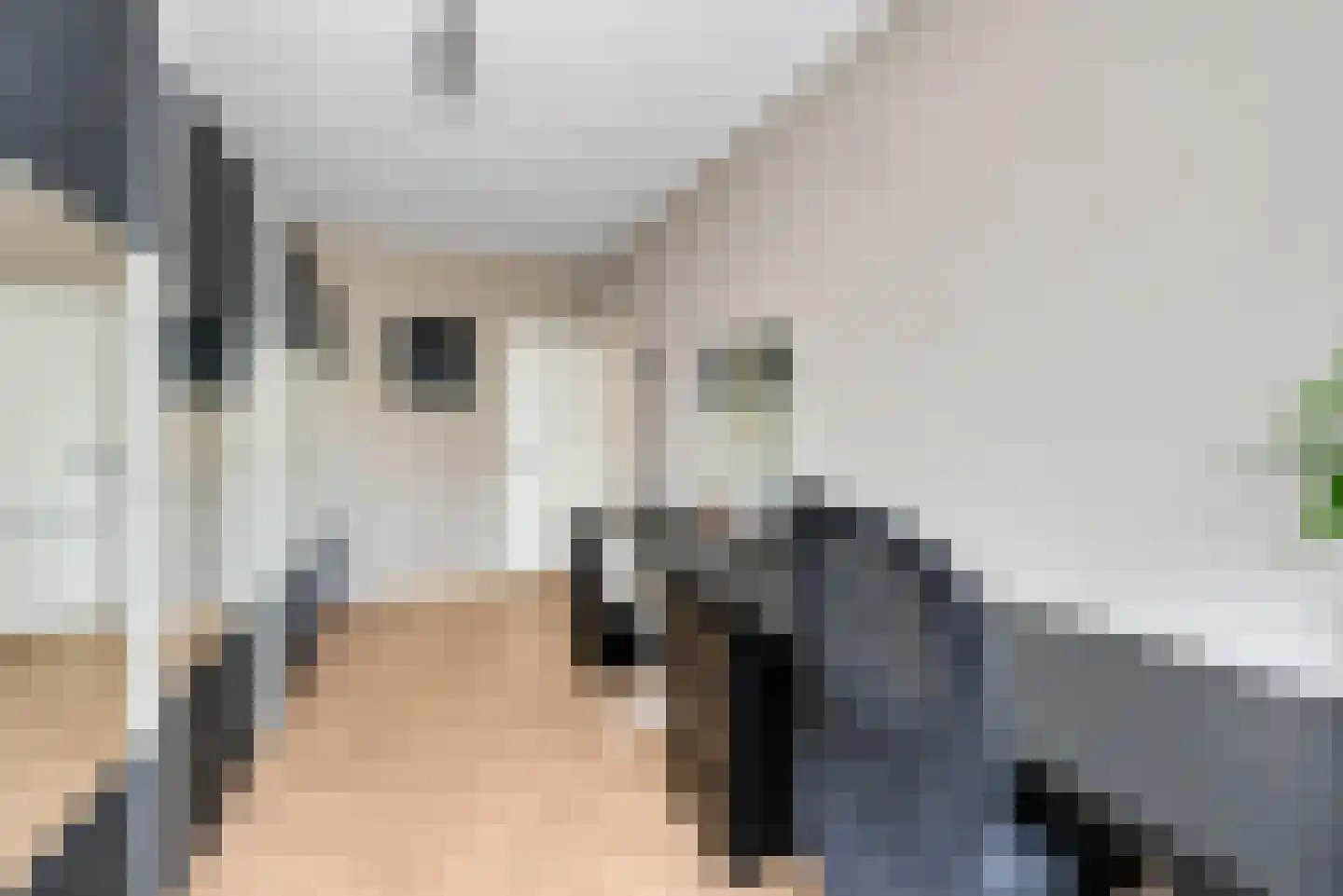 Leyweg 26 B Den Haag thumbnail 19