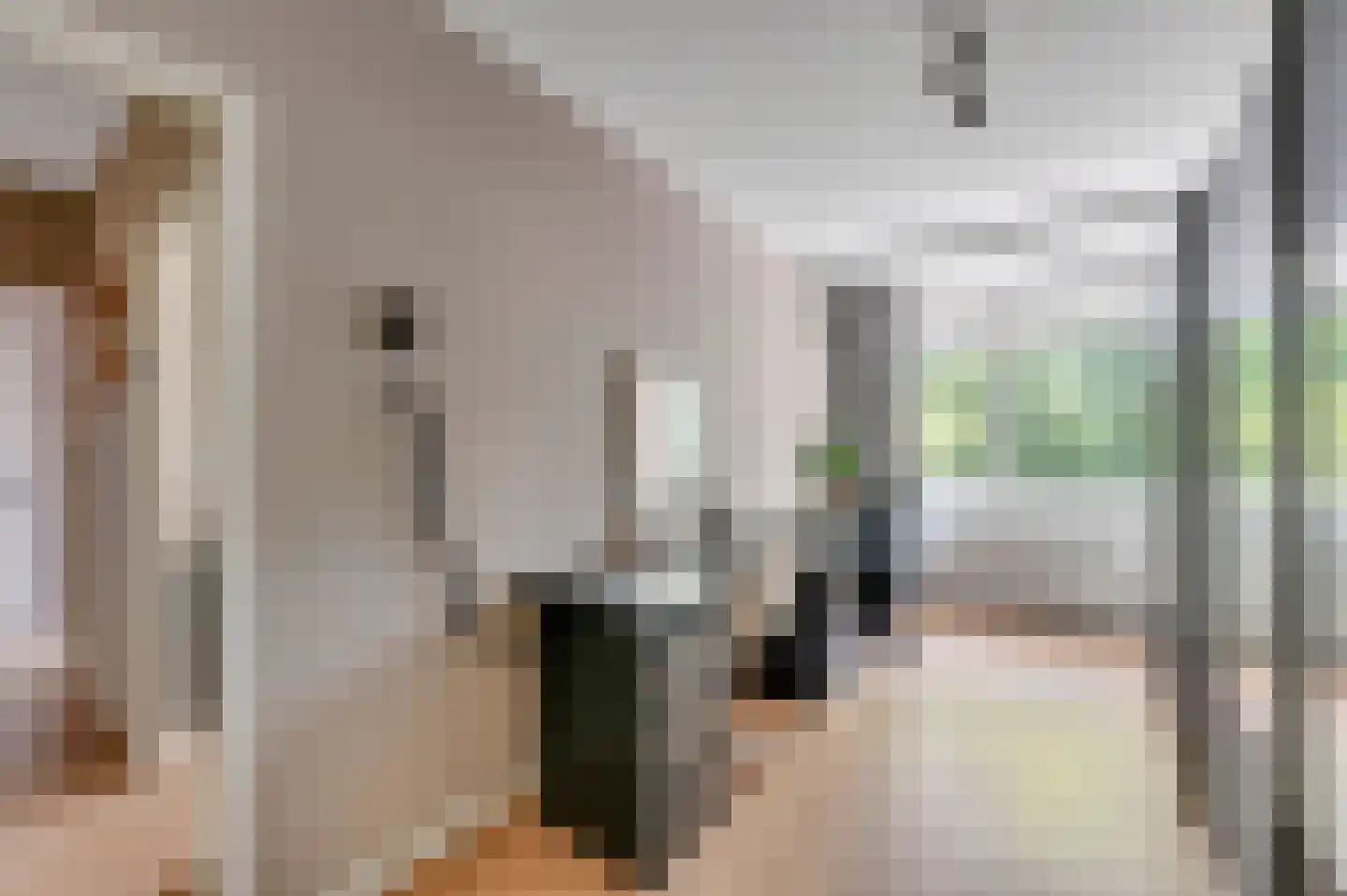 Leyweg 26 B Den Haag thumbnail 20