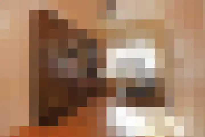 Leyweg 26 Den Haag thumbnail 13